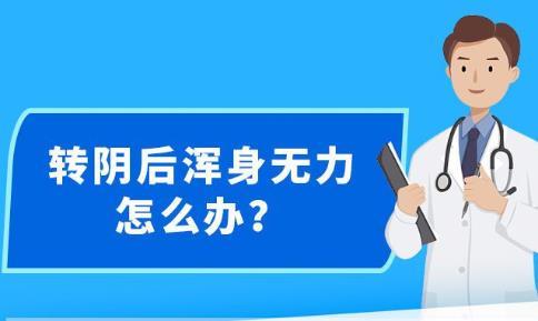 新澳精準(zhǔn)資料免費(fèi)提供，探索第265期的奧秘與價(jià)值