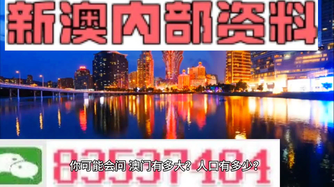 新澳門精準(zhǔn)資料大全與管家婆料，深度解析與探討