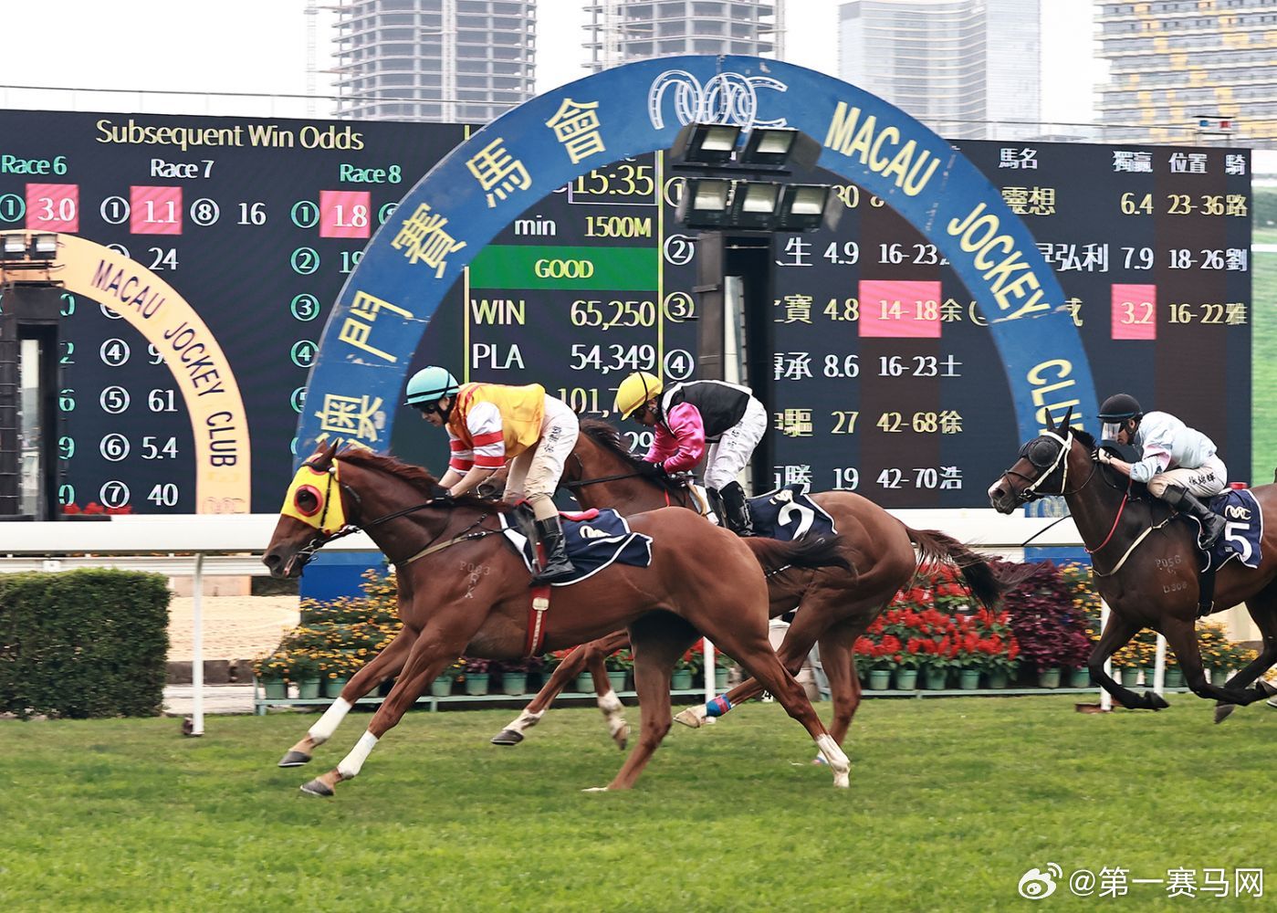 探索澳門特馬，今晚2024年澳門特馬開彩的奧秘與期待