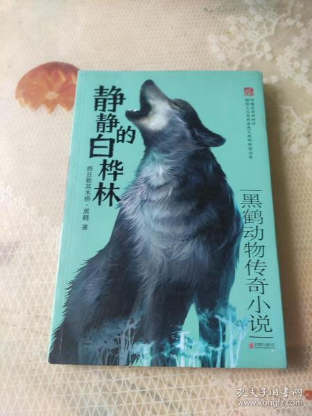 四不像正版與正版四不像，探究正版內(nèi)容的多元形態(tài)