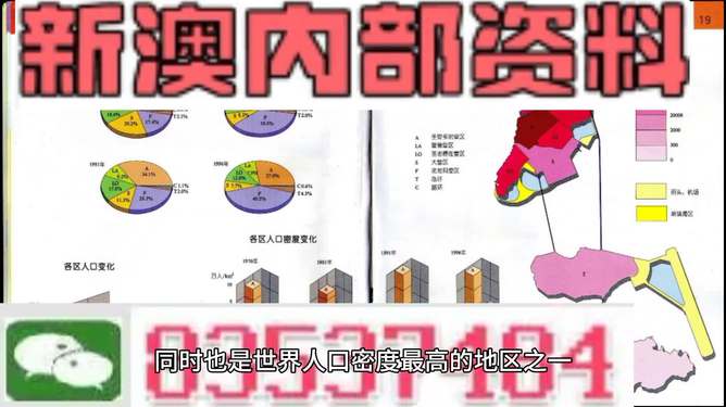 關于新澳正版免費資料大全的探討——警惕違法犯罪風險