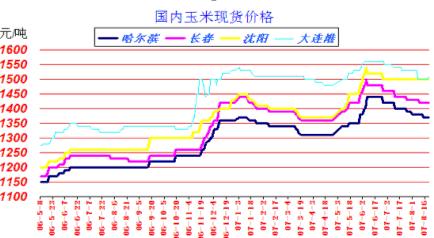 彰武玉米價格最新行情分析