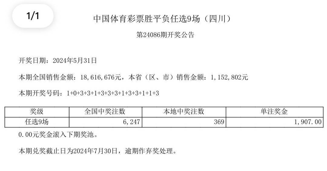 澳門彩票開獎結(jié)果王中王，揭秘彩票背后的故事與未來展望