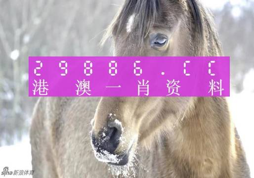 澳門(mén)一肖一碼100%精準(zhǔn)一，揭示背后的風(fēng)險(xiǎn)與挑戰(zhàn)