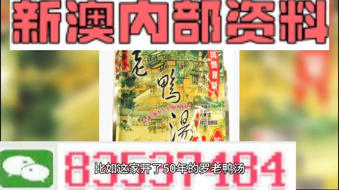 關(guān)于新澳正版資料與內(nèi)部資料的探討，揭示背后的違法犯罪問題