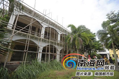 臨高最新違建,臨高最新違建現(xiàn)象深度解析