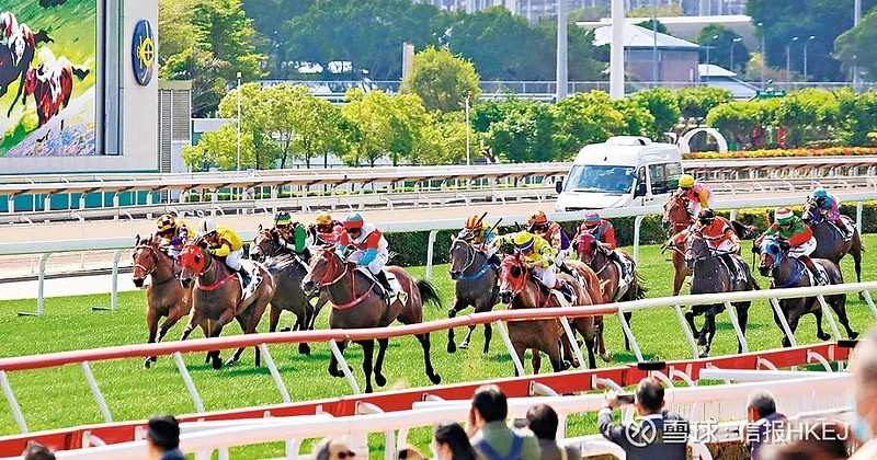 探索香港賽馬，2024全年免費(fèi)資料與穩(wěn)妥解答解釋落實(shí)之路