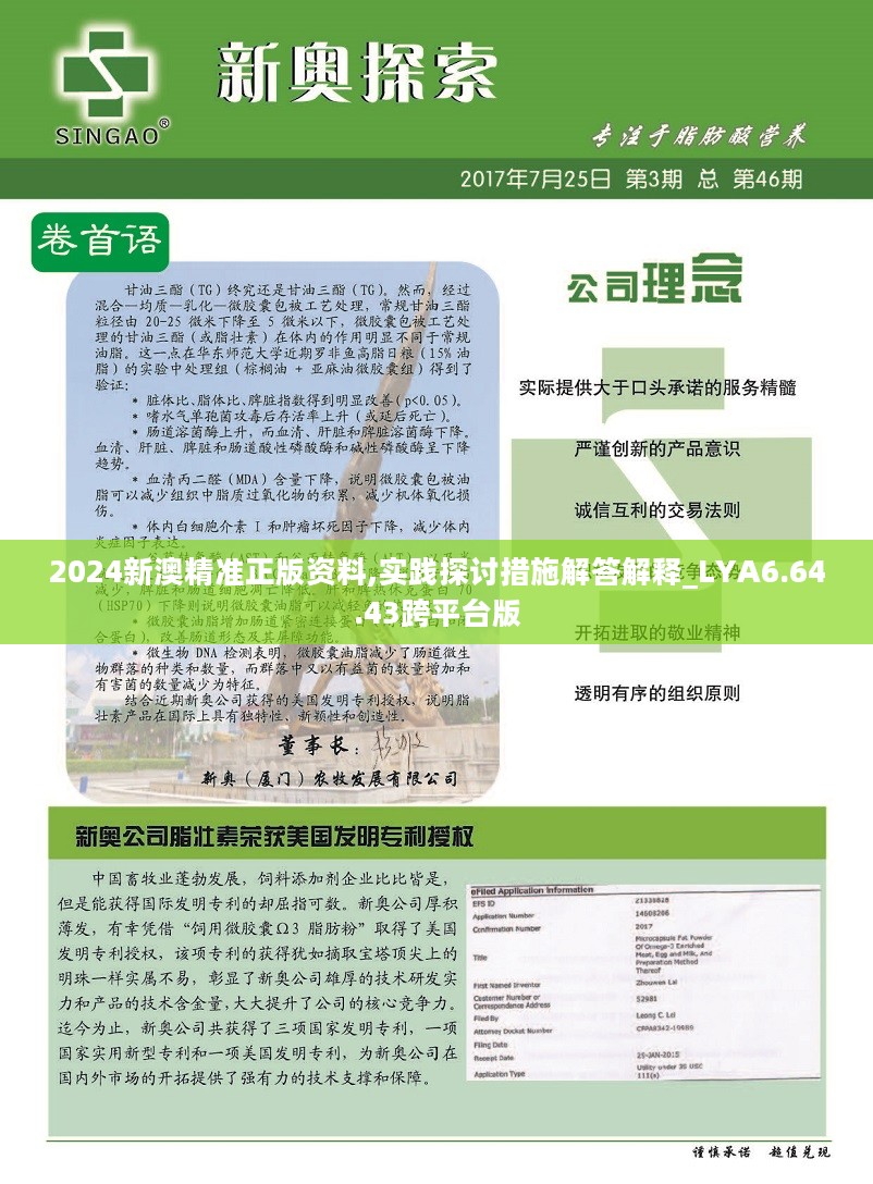 新澳2024年精準(zhǔn)資料第220期批注版，迅速計(jì)劃執(zhí)行與解答