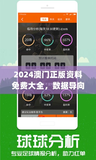 澳門正版資料免費精準(zhǔn)，耐久解答解釋落實方案