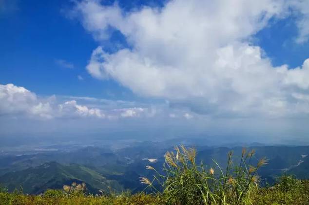 黃大仙精選正版資料的優(yōu)勢與動態(tài)調整策略執(zhí)行的探討——典藏版315.167.985.83