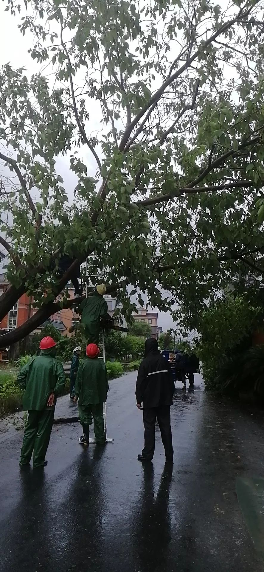 丹東遭遇最新臺風(fēng)，風(fēng)雨中的堅守與應(yīng)對