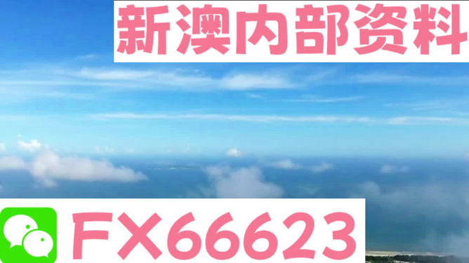 探索800圖庫(kù)，免費(fèi)資料大全 2024的獨(dú)特魅力