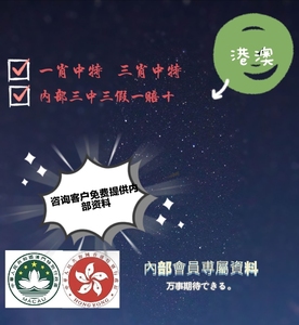 最準(zhǔn)一肖一碼一一香港澳王一王，揭秘背后的秘密