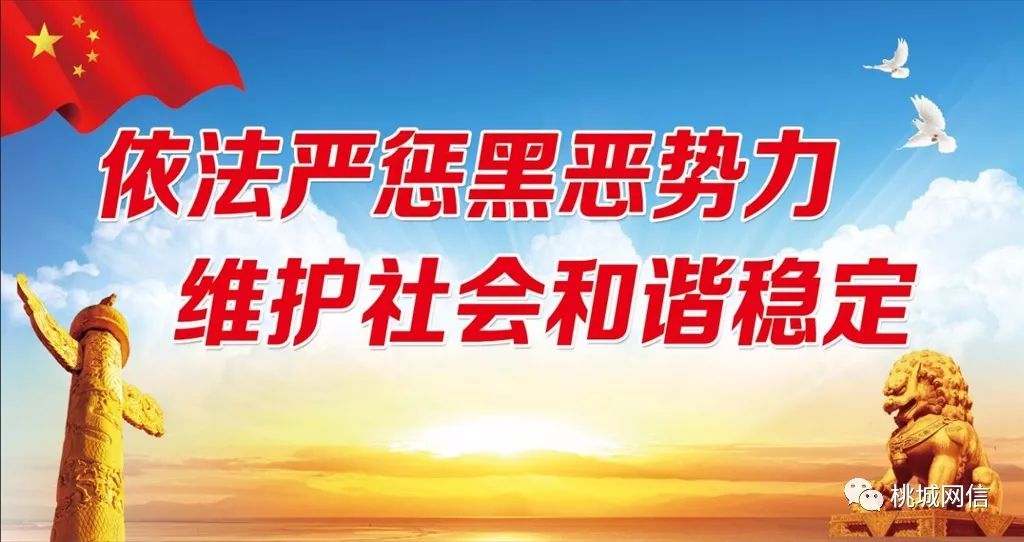 澳門資料大全正版資清風，揭示違法犯罪問題的重要性與應對之策