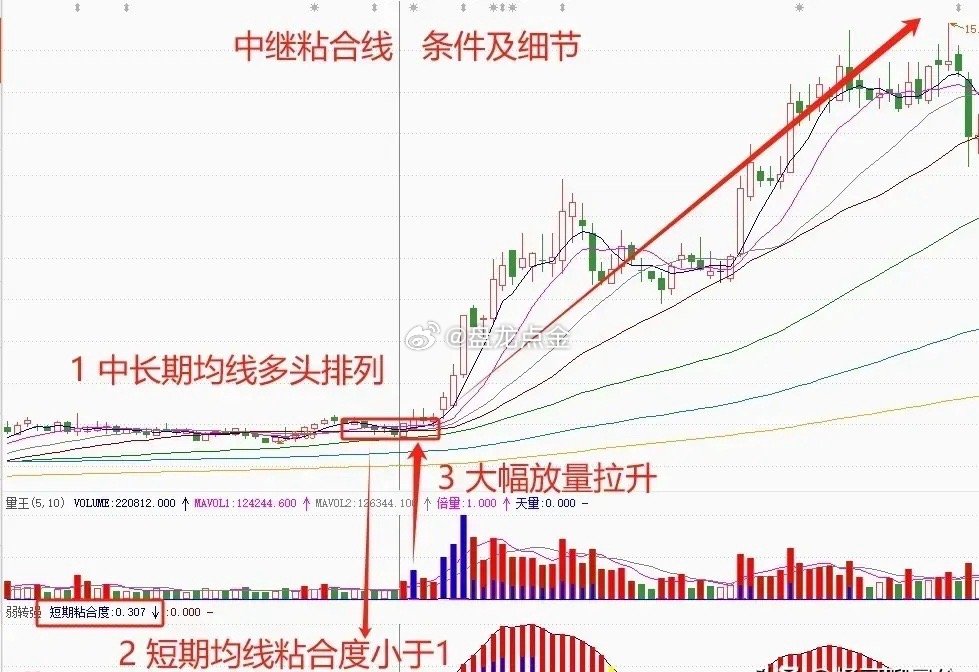 雷霆戰(zhàn)姬 第3頁