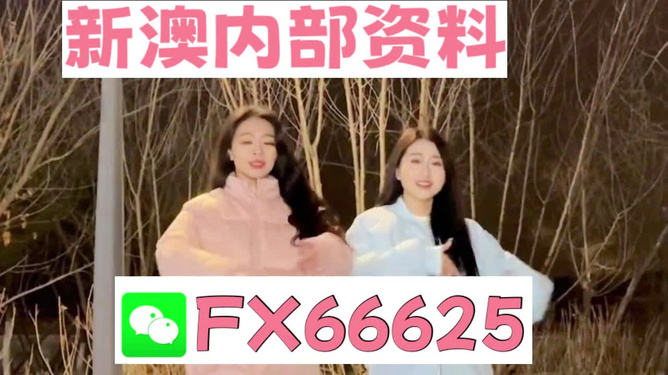 管家婆最準(zhǔn)一碼一肖，揭秘彩票背后的秘密與期待（第9387期）