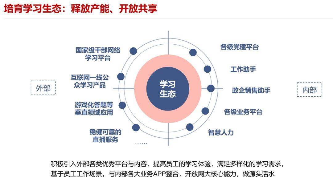 新門內(nèi)部資料精準(zhǔn)大全，深度探索與解析