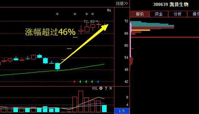 揭秘2024新奧歷史開獎記錄第46期，數(shù)據(jù)與趨勢分析