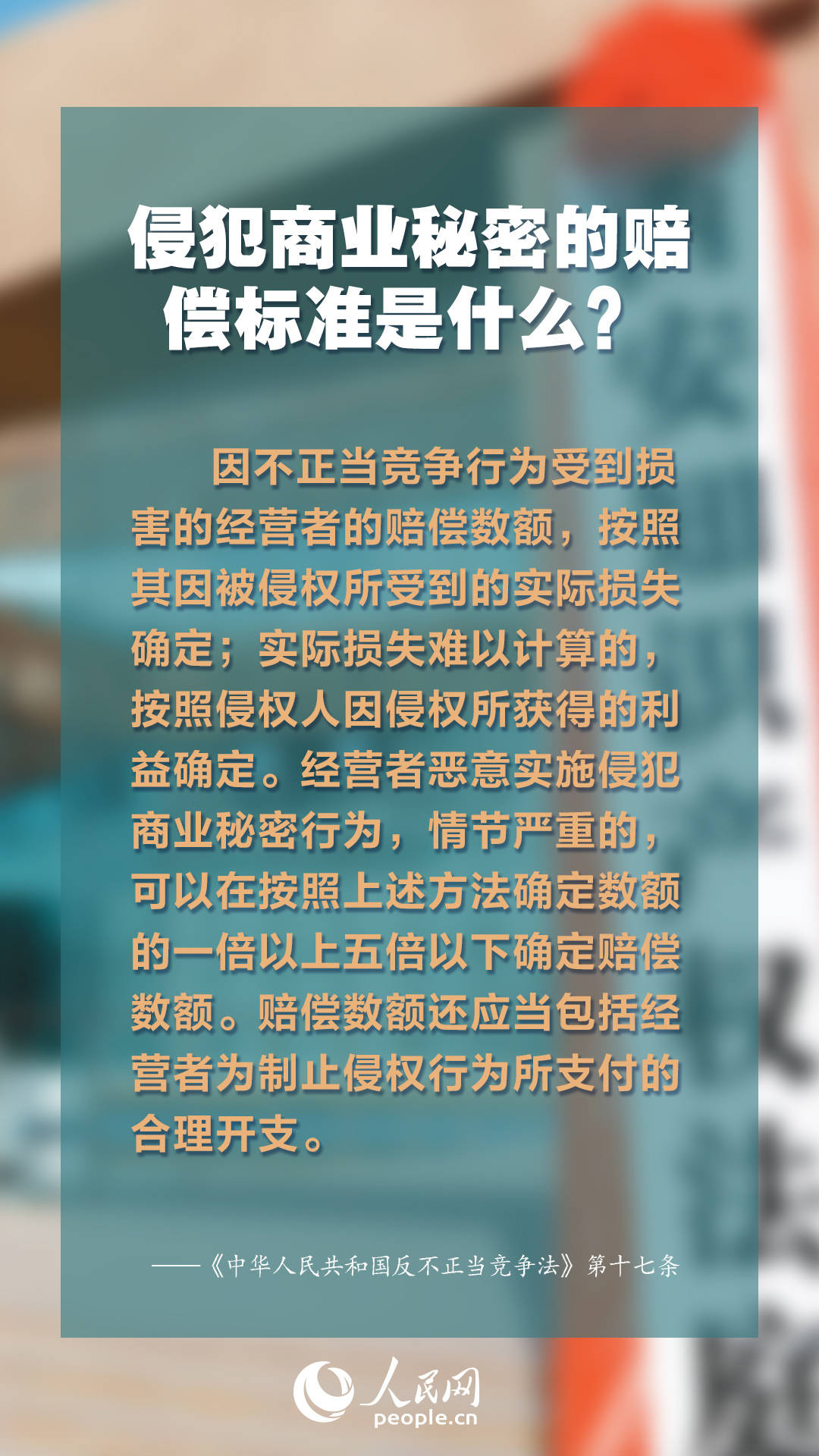 正版資料免費綜合大全，探索知識寶藏的門戶