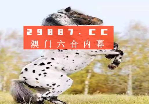 澳門正版精準(zhǔn)四不像，探索與解析