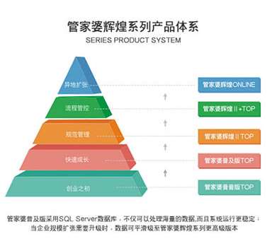 新澳門管家婆一句，揭示背后的智慧與奧秘