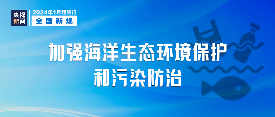 新澳門三期必開一期，犯罪問題的探討與應對