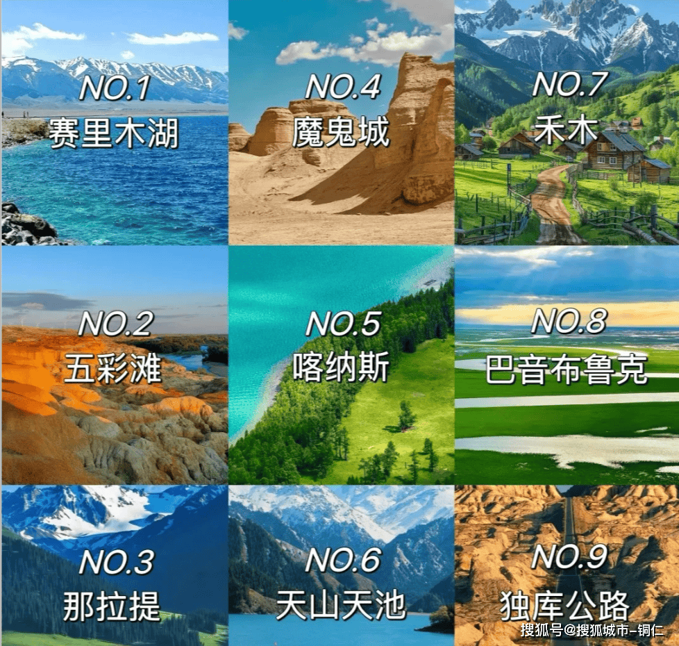 澳門最精準(zhǔn)免費資料大全與旅游團(tuán)，探索澳門之旅的完美指南